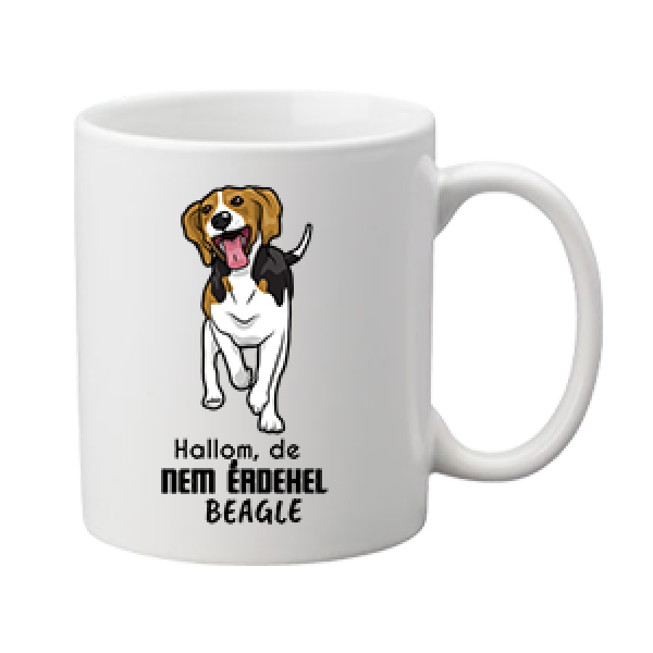 Bögre Hallom de nem érdekel beagle