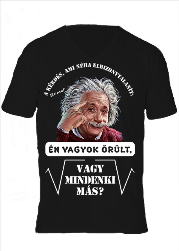 Férfi póló Mindenki őrült Einstein fekete