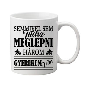 Három gyerekem van – Bögre