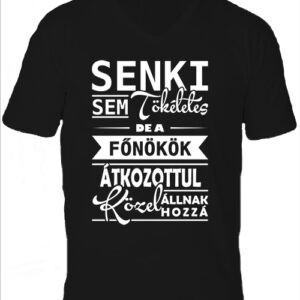 Tökéletes főnökök-Férfi V nyakú póló