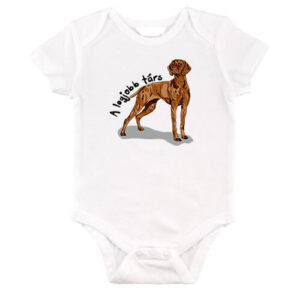 A legjobb társ vizsla – Baby Body