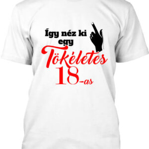 Tökéletes 18-as – Férfi póló