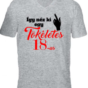 Tökéletes 18-as – Férfi V nyakú póló