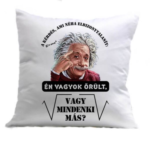 Párna Mindenki őrül Einstein fehér