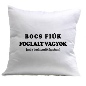 Bocs fiúk foglalt vagyok – Párna