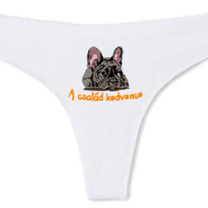 A család kedvence francia bulldog – Tanga