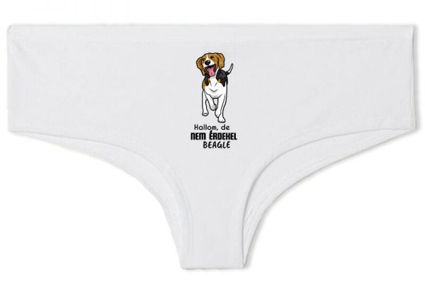 Hallom de nem érdekel beagle - Francia bugyi