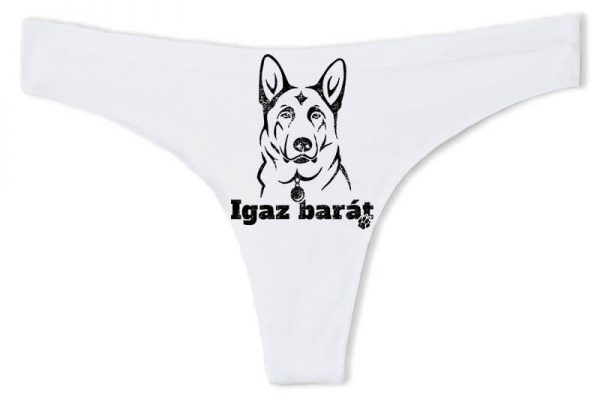 Németjuhász igaz barát - Tanga