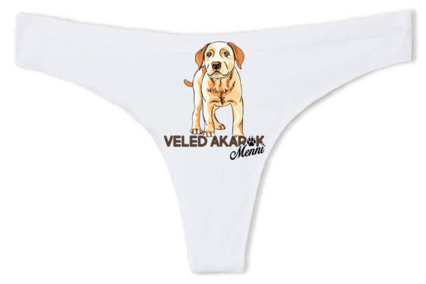 Ragaszkodó labrador - Tanga