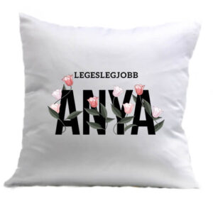 Legeslegjobb anya – Párna