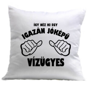 Jóképű vízügyes – Párna