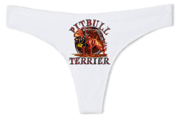 Pitbull terrier - Tanga