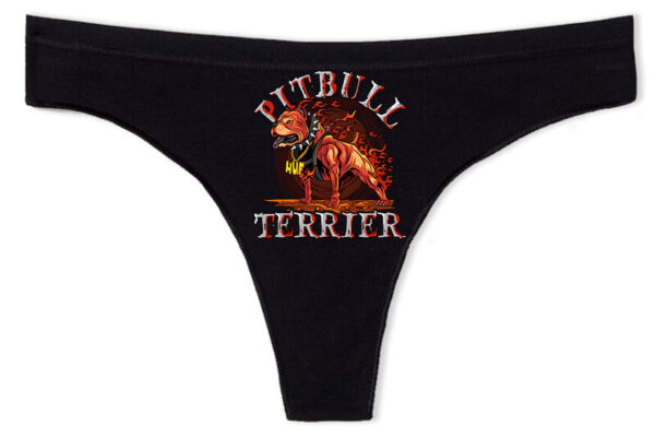 Pitbull terrier - Tanga