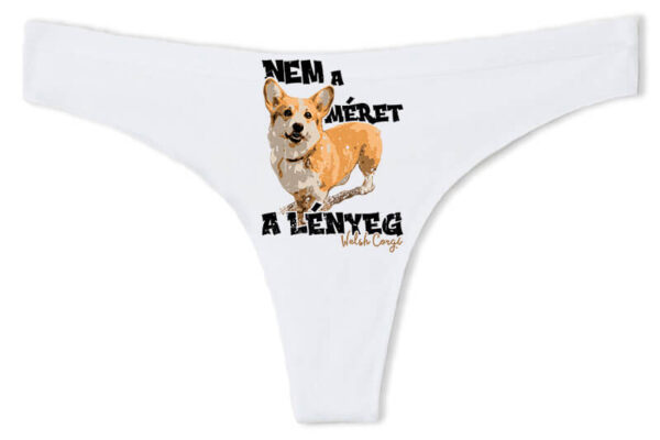 Welsh corgi nem lényeg - Tanga