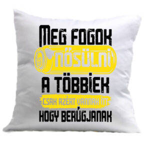 Meg fogok nősülni legénybúcsú – Párna