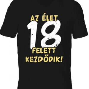 Az élet 18 felett – Férfi V nyakú póló