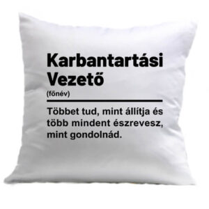 Karbantartási vezető – Párna