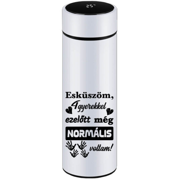 Négy gyerekkel ezelőtt normális voltam - Okos kulacs