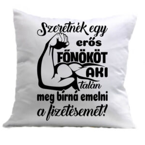 Erős főnök fizetésemeléssel – Párna