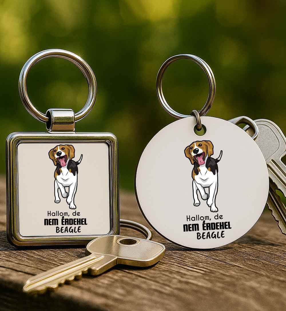 Fém kulcstartó Hallom de nem érdekel beagle