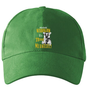 Mindenki nyugodjon le megnősül – Baseball sapka