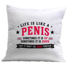 Life is like a penis – Párna