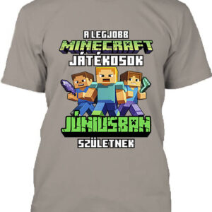 A legjobb Minecraft játékos júniusban született – Férfi póló