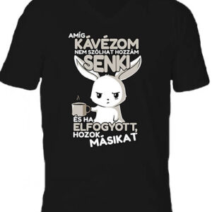 Amíg kávézom nem szólhat hozzám senki – Férfi V nyakú póló