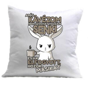 Amíg kávézom nem szólhat hozzám senki – Párna